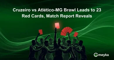 Cruzeiro vs Atlético-MG Brawl Leads to 23 Red Cards, Match Report Reveals