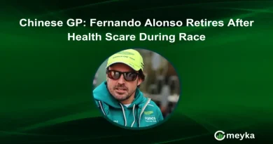 Chinese GP: Fernando Alonso Retires After Health Scare During Race