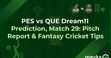 PES vs QUE Dream11 Prediction, Match 29: Pitch Report & Fantasy Cricket Tips